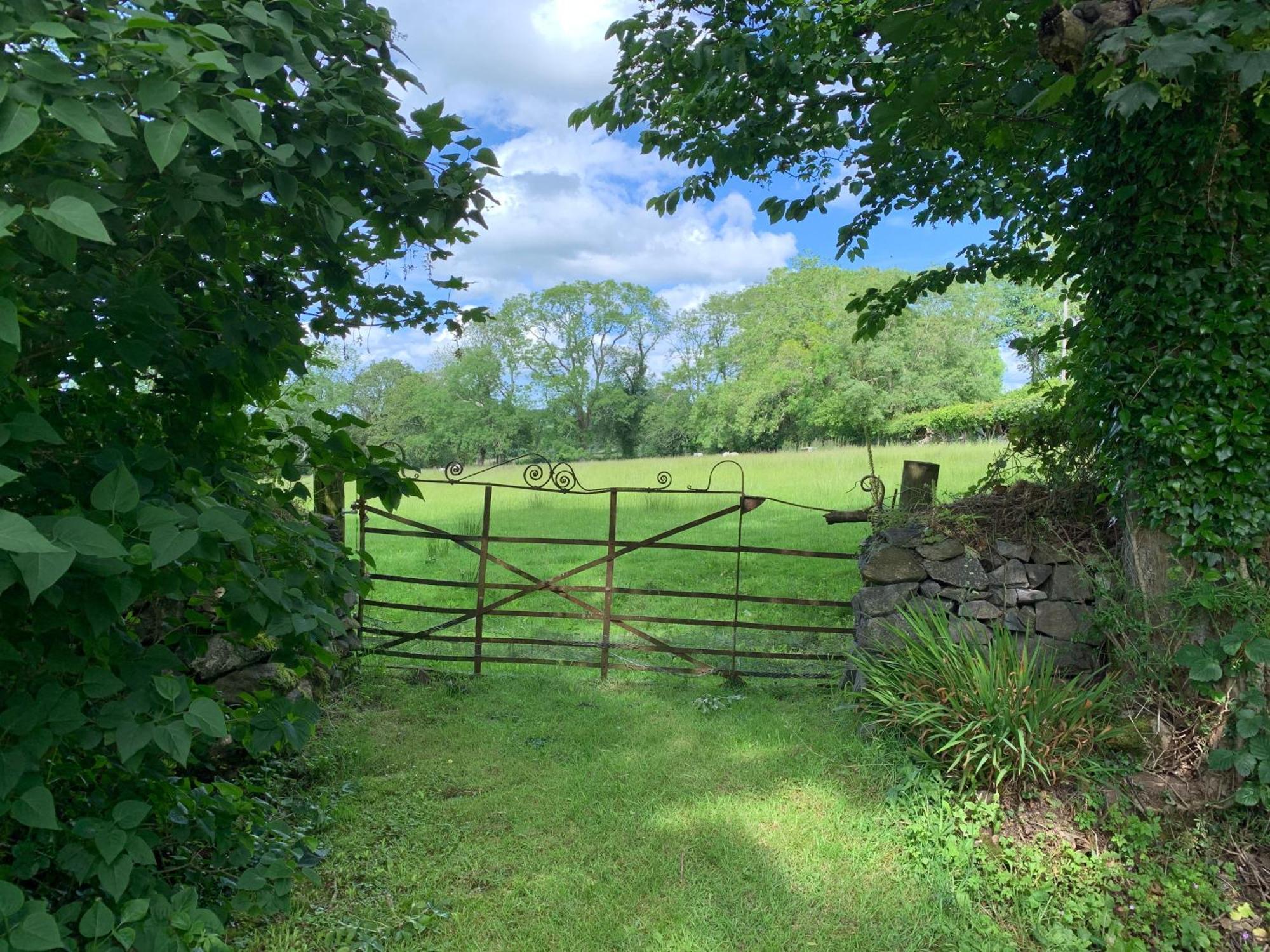 The Lodge@Tyddyn Ucha Caernarfon Buitenkant foto